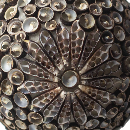Lámpara boho con diseño floral hecho de conchas marinas cortadas en tonos chocolate y crema. Artesanía natural.