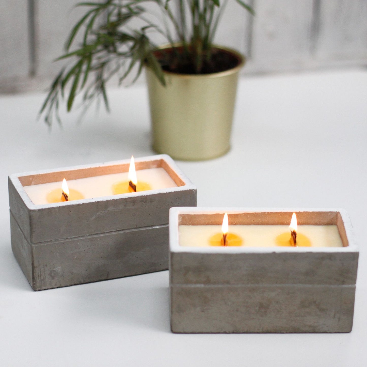 Dos velas rectangulares de hormigón gris con mecha de madera encendida sobre una mesa blanca, junto a una planta.