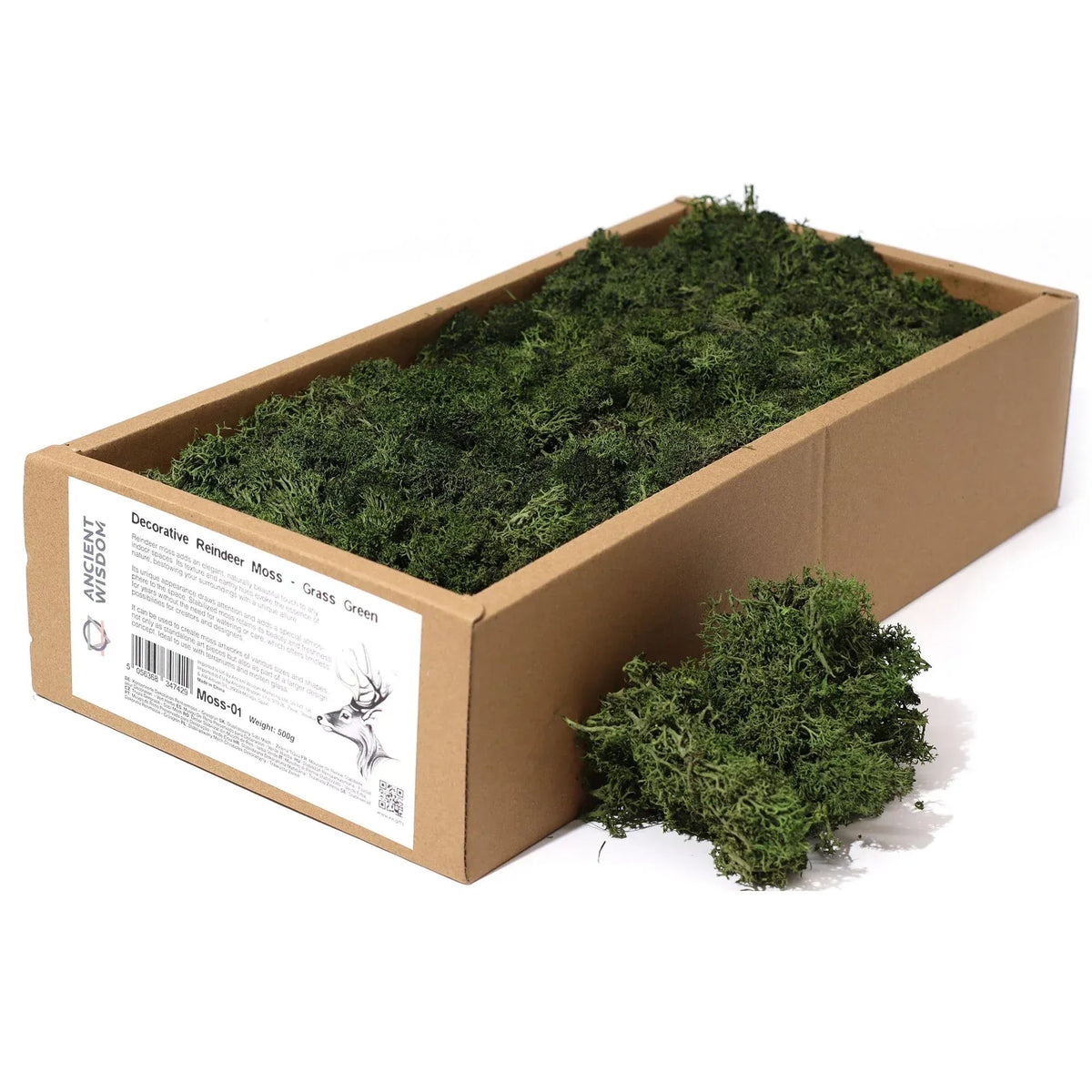 Caja de cartón llena de musgo decorativo estabilizado de color verde oscuro sobre fondo blanco.