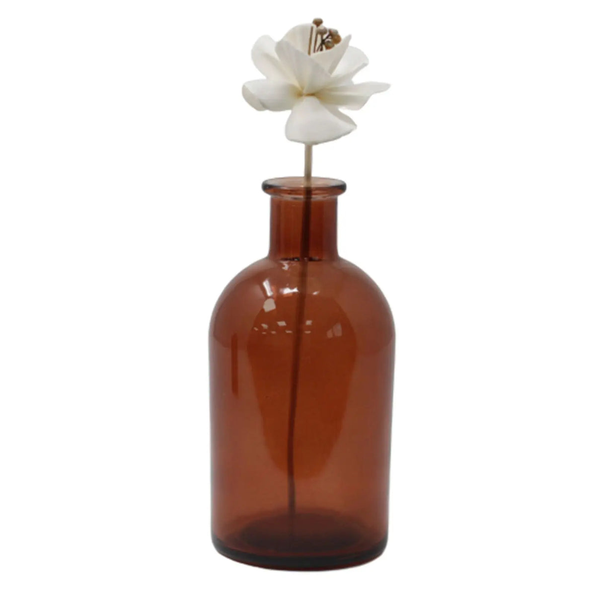 Flor blanca de caña en un frasco de vidrio color ámbar. Ideal para difusor de aroma. Fondo blanco.