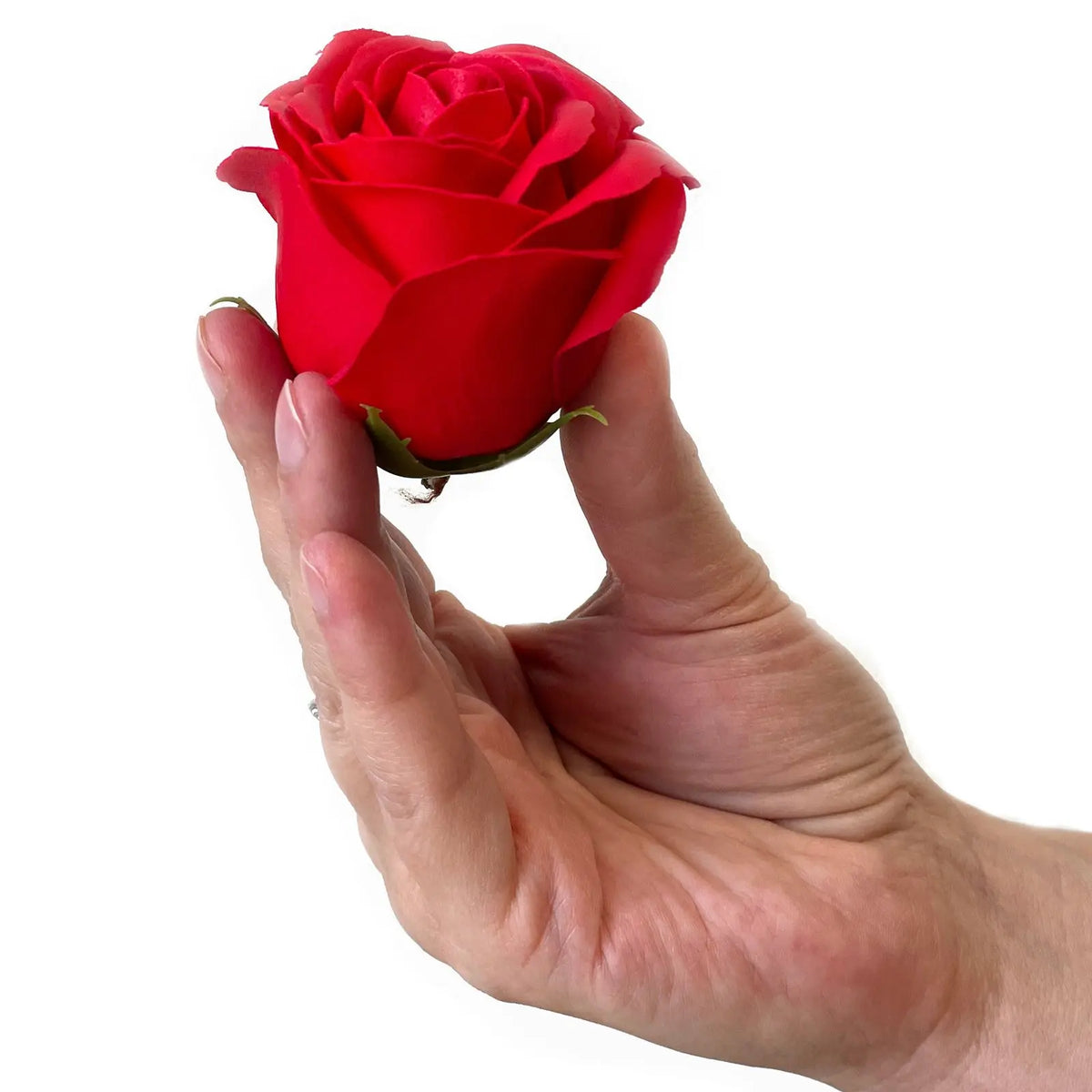 Mano sosteniendo una rosa roja de jabón de aspecto realista sobre un fondo blanco.