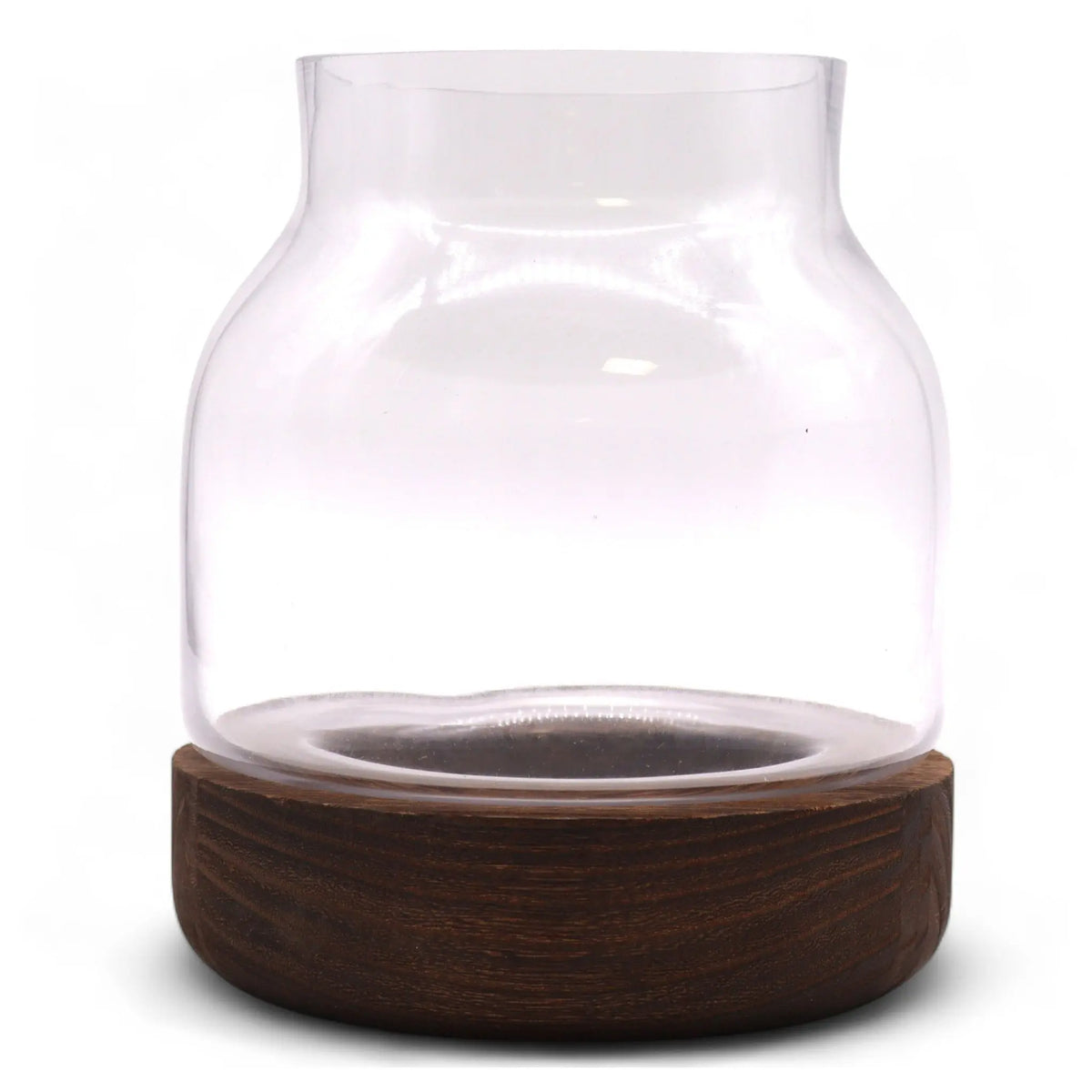 Terrario de vidrio transparente con forma de jarra sobre base de madera de tung oscura, estilo minimalista y natural.
