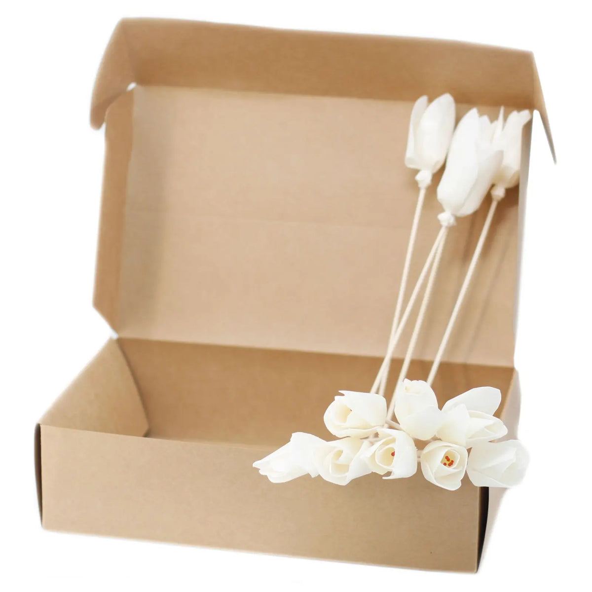 Flores difusoras blancas de madera de sola con tallo en caja de cartón artesanal sobre fondo blanco.