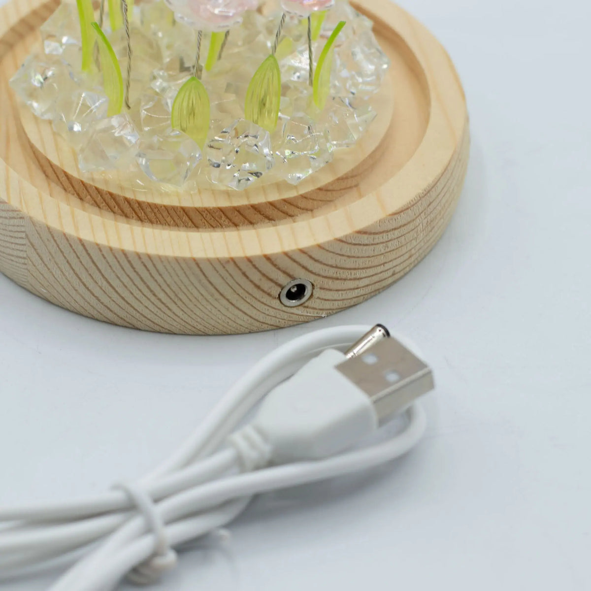 Domo Floral Glow: base de madera clara, rosas rosas con hojas verdes, cristales y cable USB sobre fondo blanco.