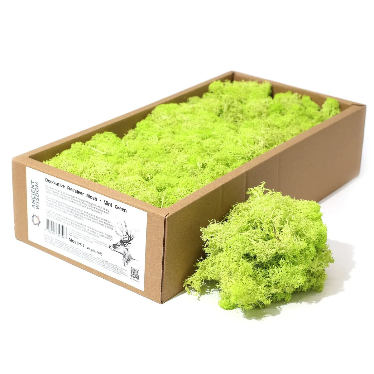 Caja de cartón llena de musgo de reno color verde lima brillante, con un manojo adicional al lado sobre fondo blanco.