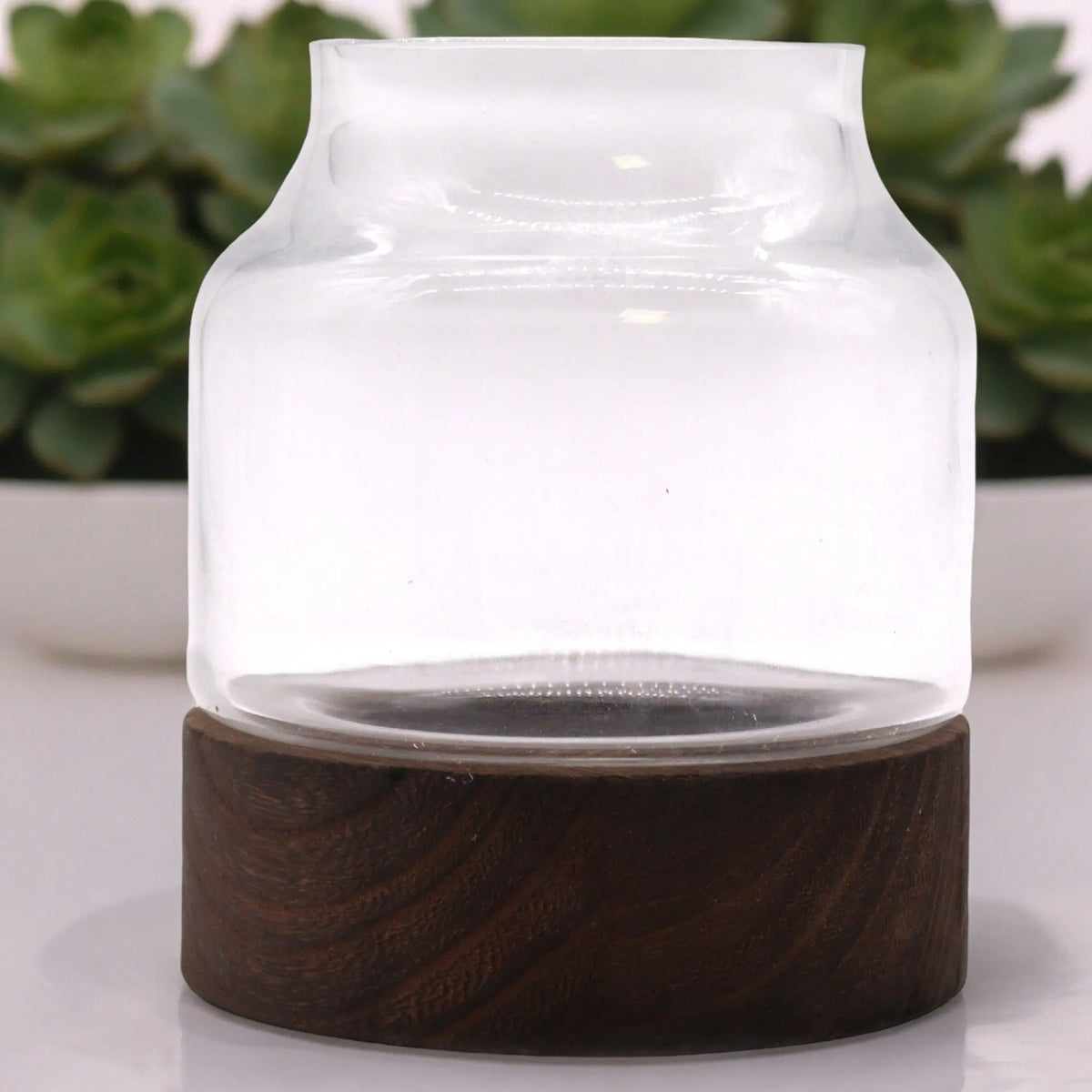 Terrario de vidrio transparente con base de madera de tung oscura estilo minimalista de 16x18cm