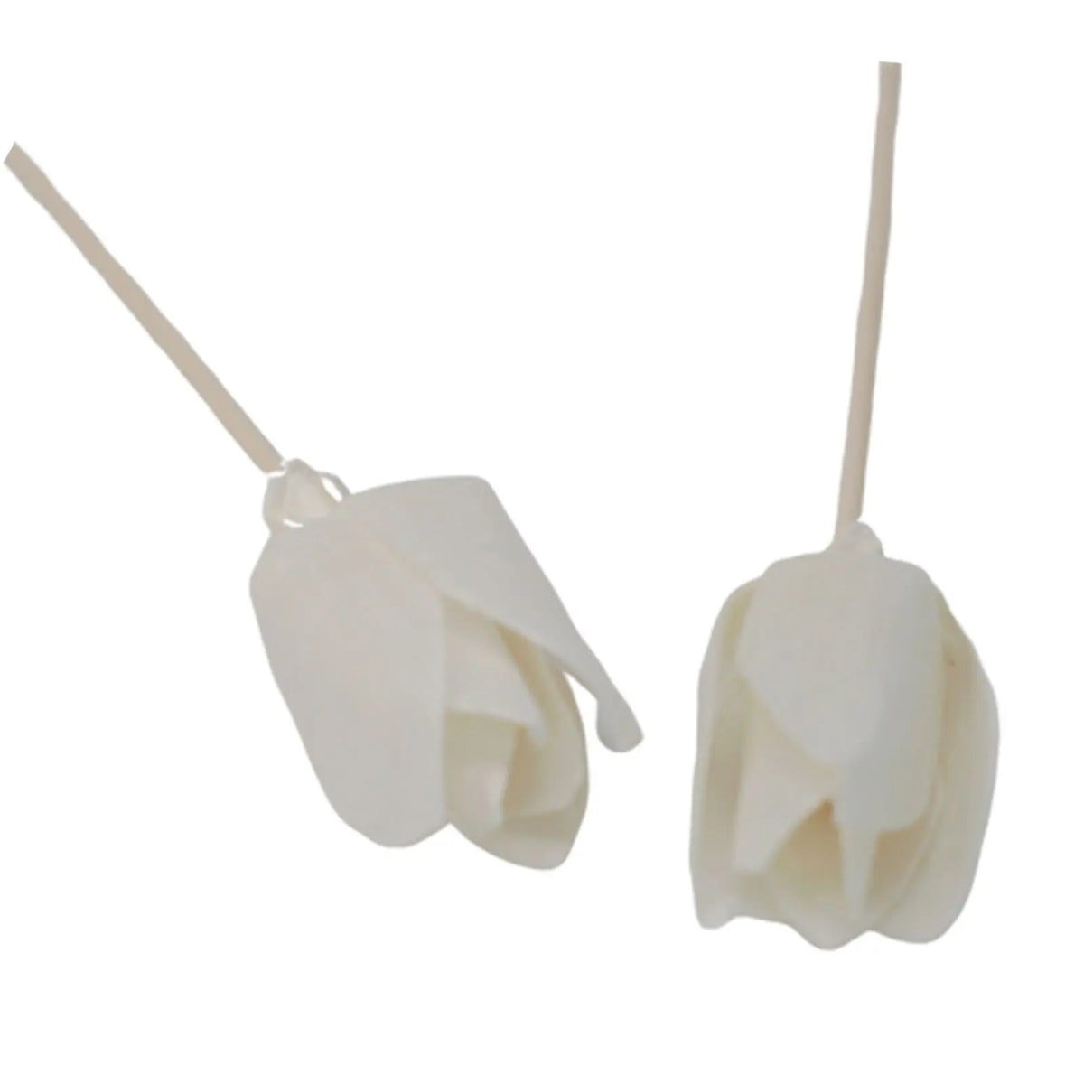 Dos flores difusoras blancas de madera de sola con tallo de caña sobre fondo blanco. Estilo artesanal y natural.