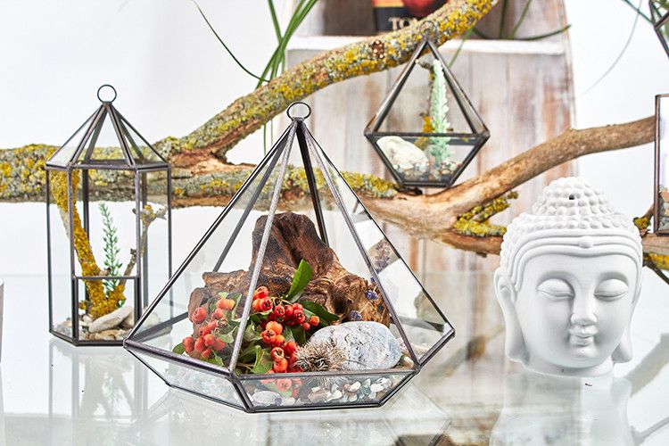 Terrario de vidrio en forma de pirámide, negro, con decoraciones naturales y detalles en rojos y verdes.