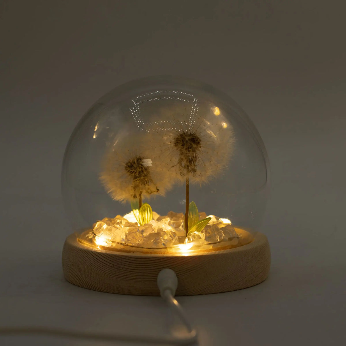 Domo de cristal con dos dientes de león, base de madera clara y luz LED cálida tipo USB. Estilo decorativo y natural.