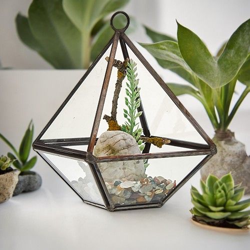 Terrario de vidrio en forma de diamante con marco metálico oscuro, contiene piedras, una planta verde y una rama pequeña