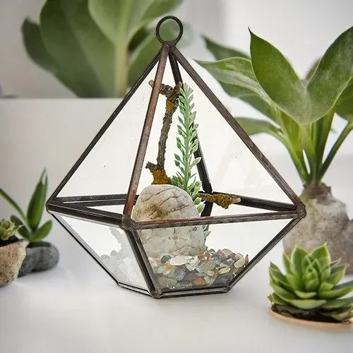 Terrario de vidrio en forma de diamante con marco metálico oscuro, contiene piedras, una planta verde y una rama pequeña