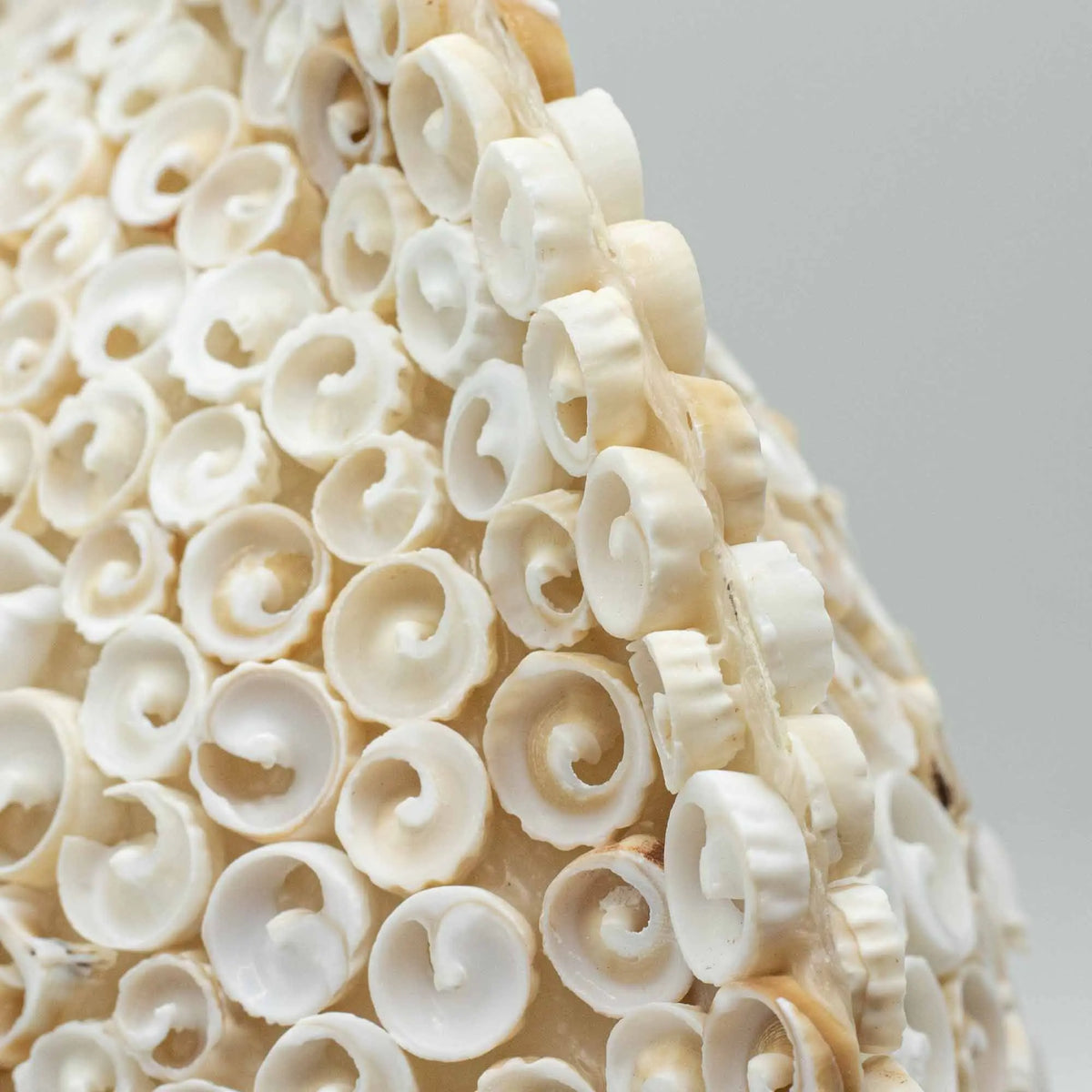 Detalle de lámpara boho redonda, cubierta artesanalmente con conchas marinas blancas en espiral sobre fondo claro.