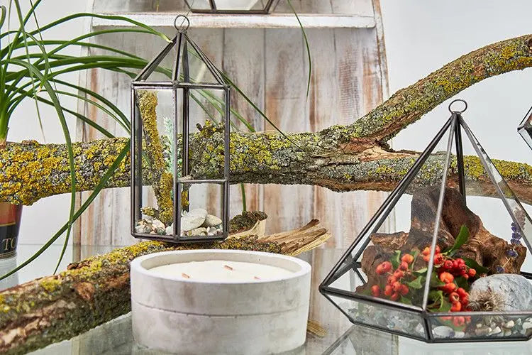 Terrarios de vidrio tipo linterna y pirámide con estructura metálica oscura, plantas, piedras y decoración natural.