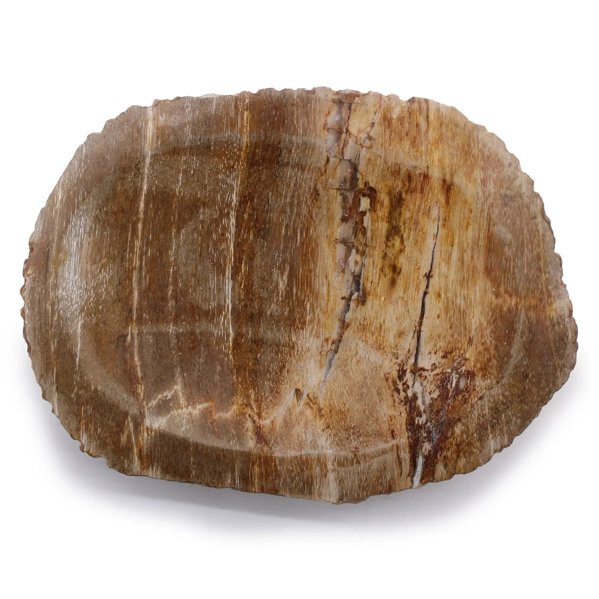 Jabonera ovalada de madera petrificada color marrón, con vetas naturales y textura rústica de piedra. Marca Ancient Wisdom.
