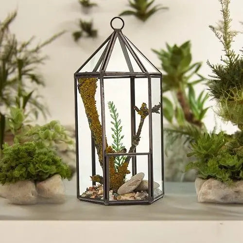 Terrario tipo linterna de vidrio con marco metálico oscuro, que contiene ramas, musgo y piedras en su interior.