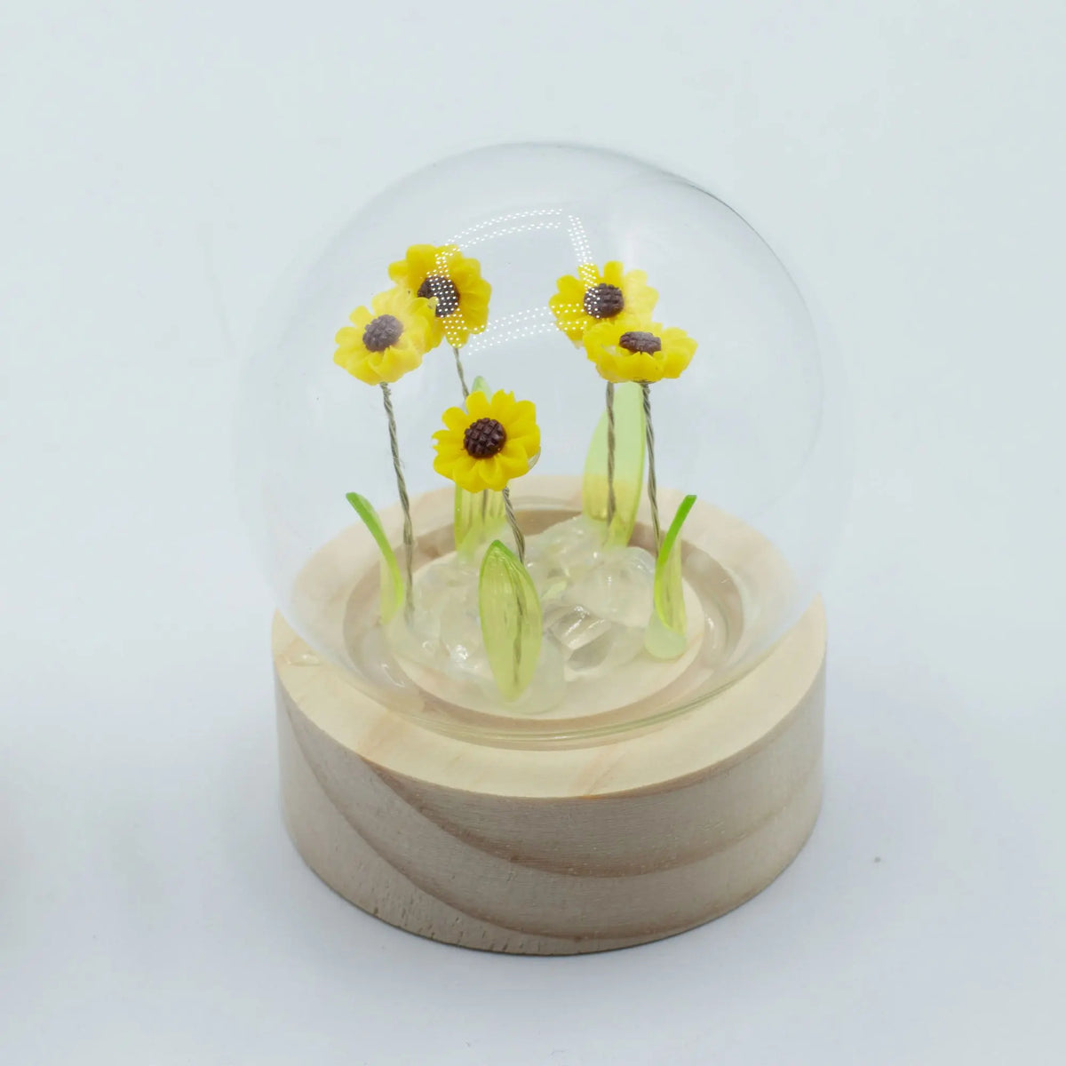 Domo de cristal con 5 girasoles amarillos, base de madera redonda y luz LED. Estilo decorativo floral y brillante.