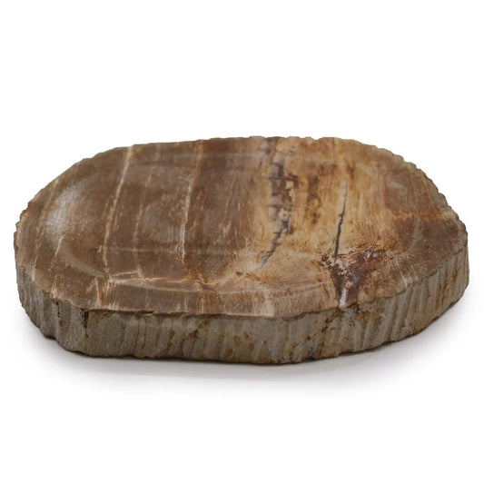 Jabonera de piedra natural de madera petrificada color marrón, con forma irregular y textura orgánica sobre fondo blanco.