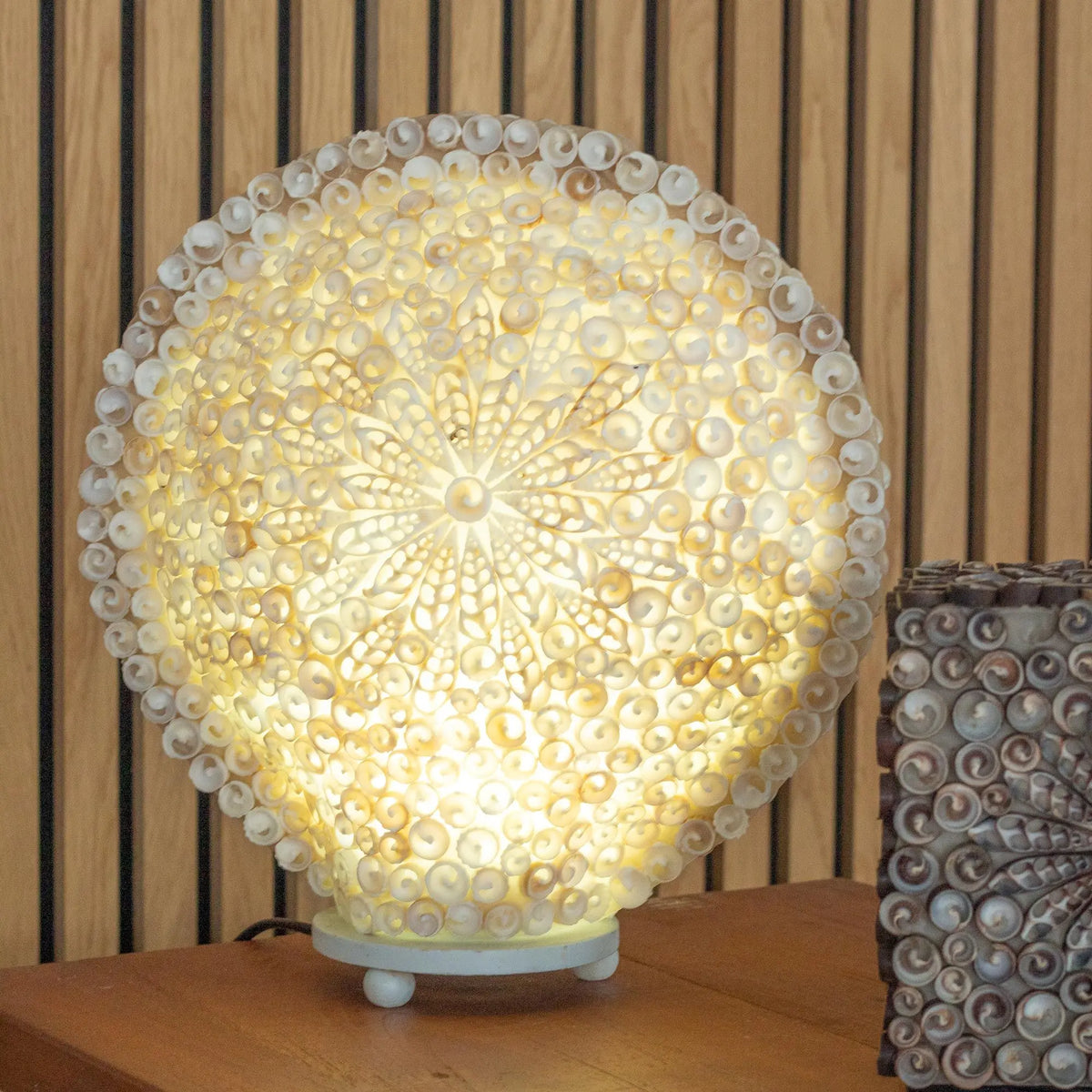 Lámpara boho redonda de 30 cm hecha con pequeñas conchas blancas dispuestas en un patrón floral con luz cálida interna.