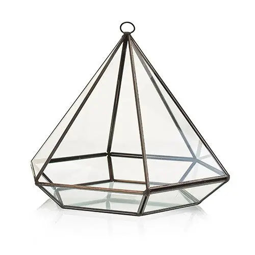 Terrario geométrico de vidrio transparente y metal negro, estilo moderno, ideal para decoración de interiores.