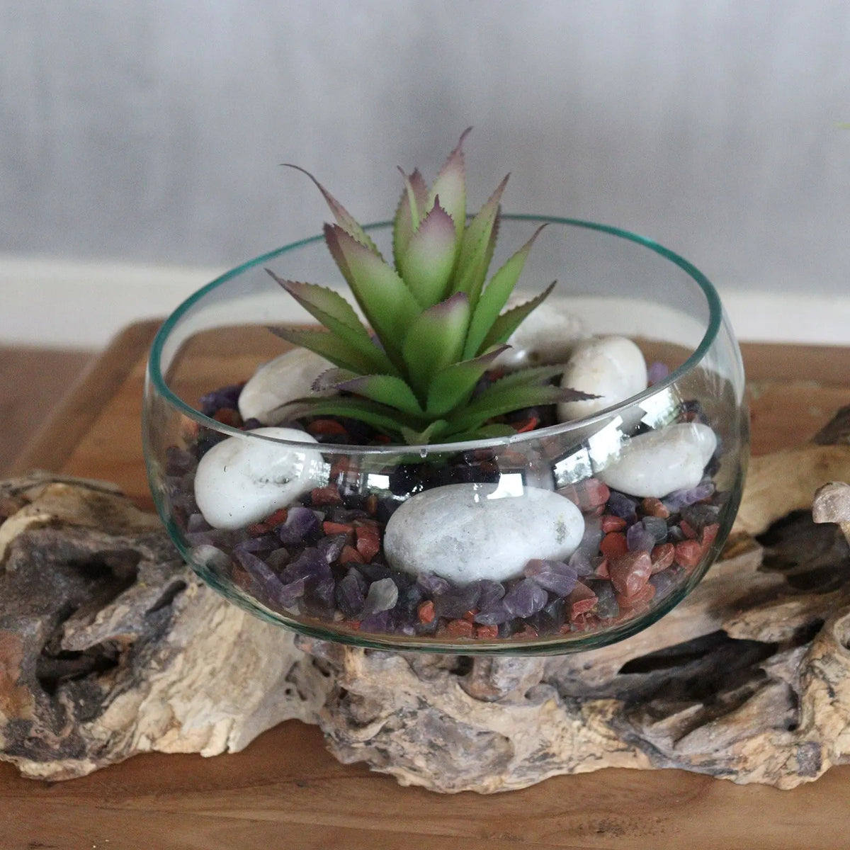 Suculenta en cuenco de vidrio fundido sobre base de madera natural, con piedras blancas y decorativas.