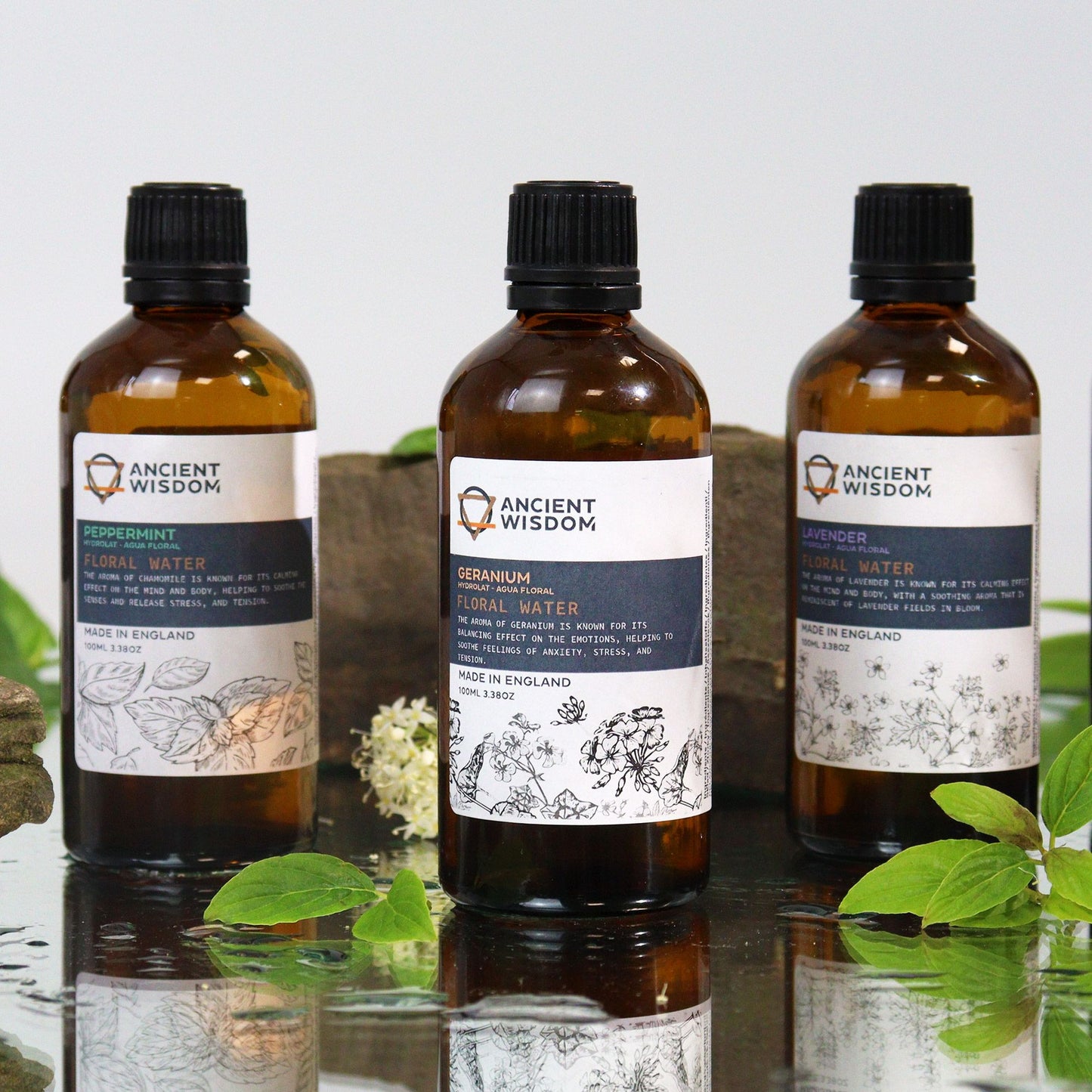 Tres frascos de vidrio ámbar con etiquetas botánicas sobre una superficie brillante con hojas y rocas naturales de fondo