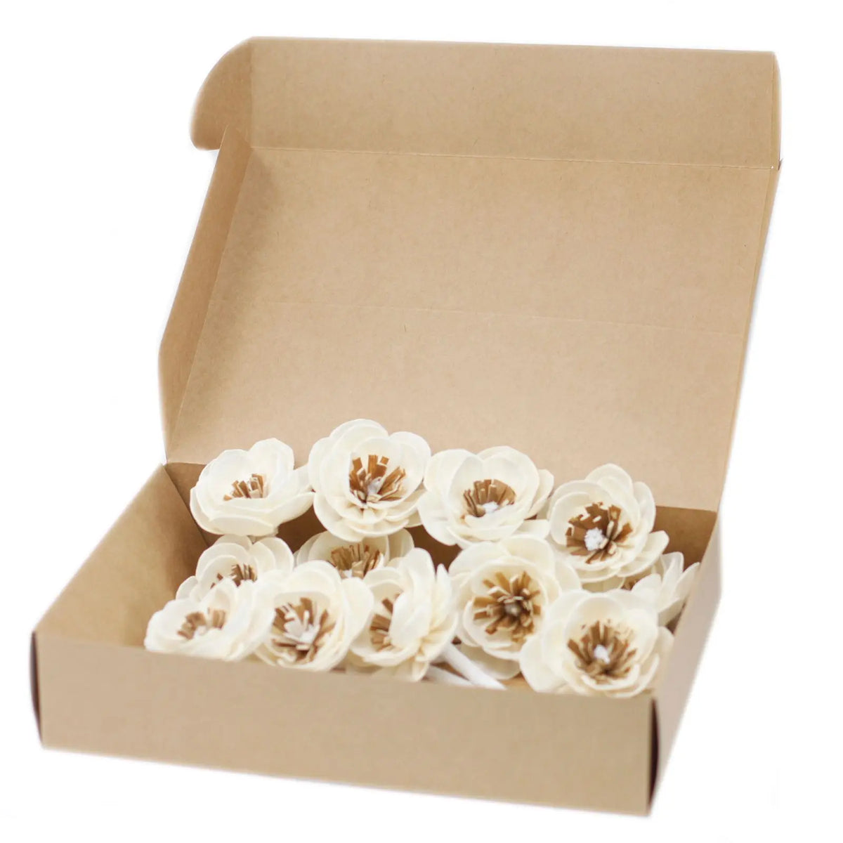 Flores difusoras de color crema con centro marrón en una caja de cartón kraft abierta. Estilo natural y artesanal.