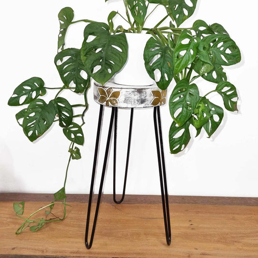 Soporte de madera de Albasia blanqueada con flores doradas, sobre patas de metal negro, con una planta Monstera.