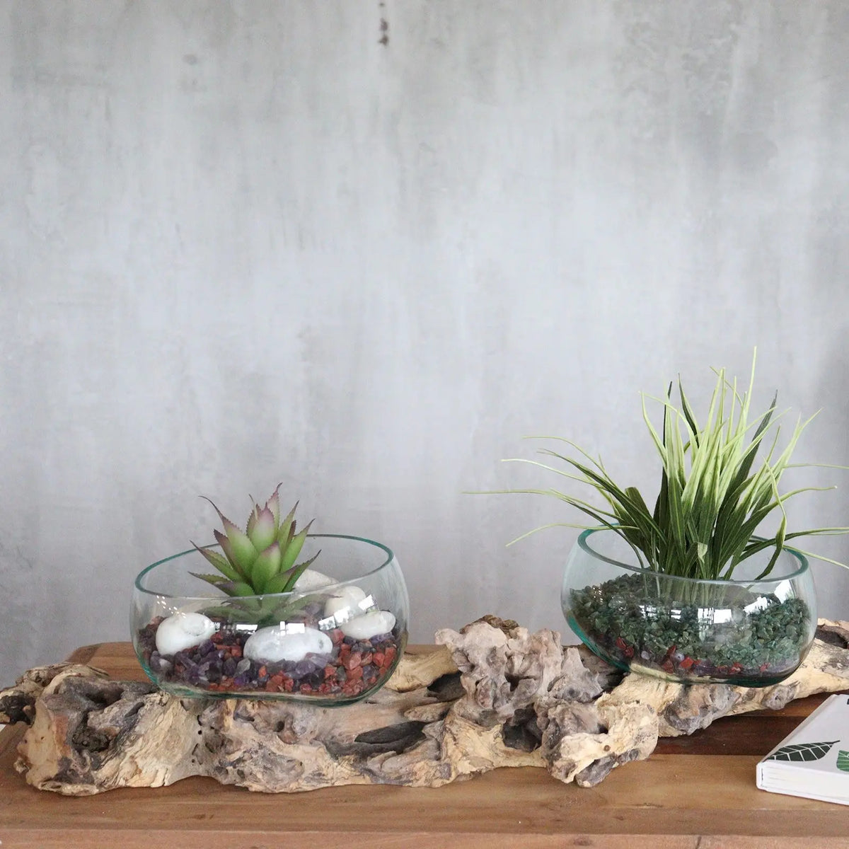 Dos cuencos de vidrio fundido sobre madera natural, con plantas decorativas y piedras, sobre fondo gris.