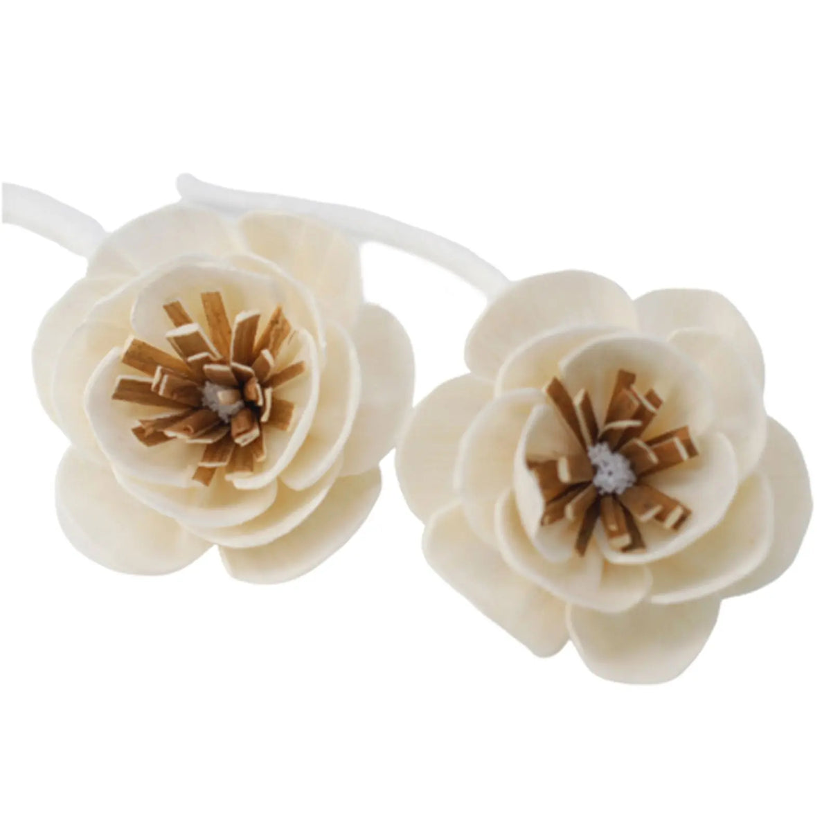 Dos flores difusoras de madera clara, color crema, con pétalos redondeados y centro marrón sobre fondo blanco.
