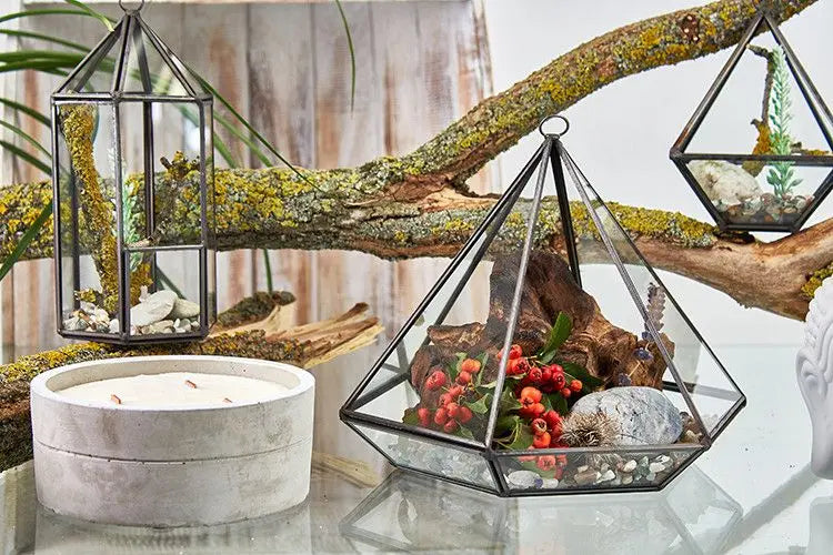 Terrario de vidrio negro en forma de pirámide con plantas y decoraciones naturales, junto a una vela blanca.