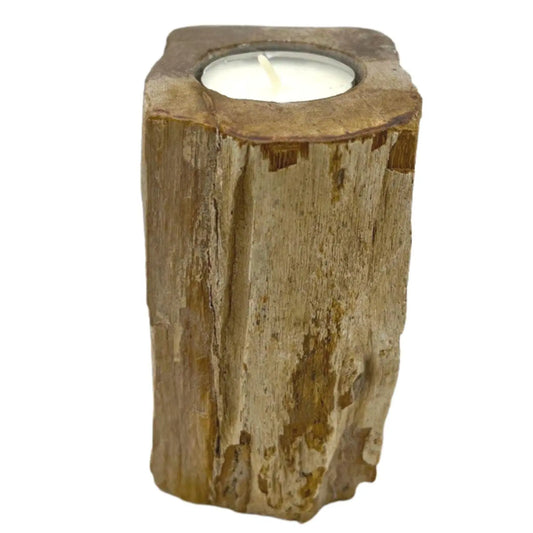 Portavelas de madera petrificada con forma cilíndrica rústica y tonos marrones, con una vela pequeña en la parte superior.