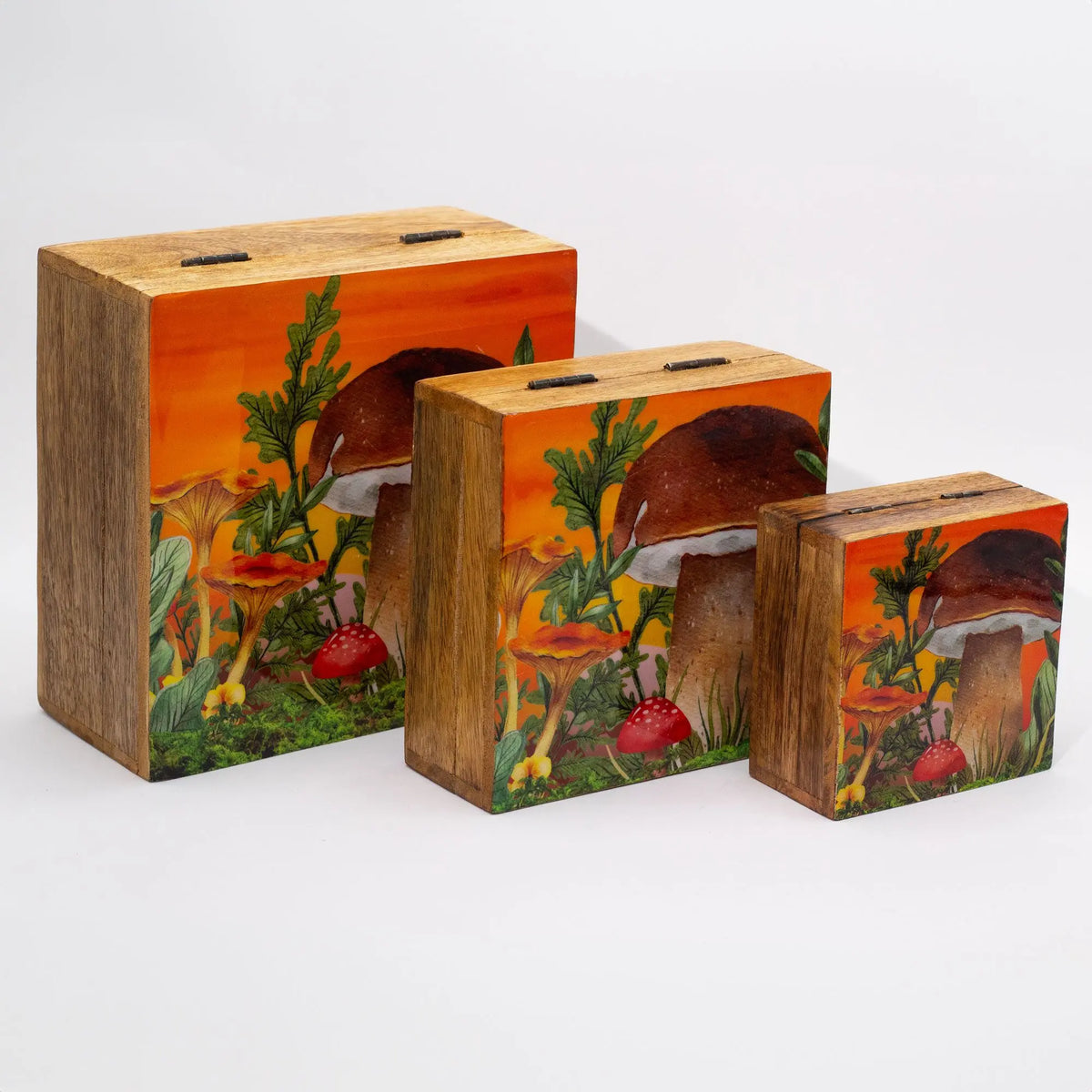 Tres cajas cuadradas de madera con ilustración de setas sobre fondo naranja, estilo artesanal y natural.