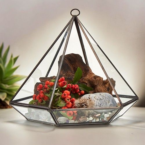 Terrario de vidrio en forma de pirámide con plantas, piedras blancas y madera, decoración moderna y elegante.