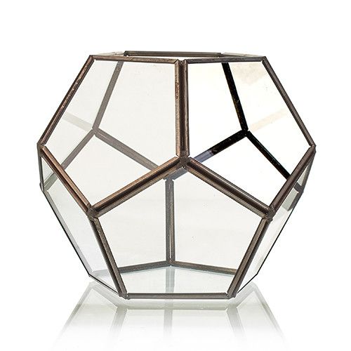 Terrario de vidrio con forma geométrica de octágono y estructura de metal en tono bronce sobre fondo blanco.