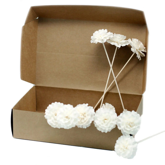 Flores difusoras blancas de madera sobre cañas delgadas, presentadas junto a una caja de cartón kraft abierta.