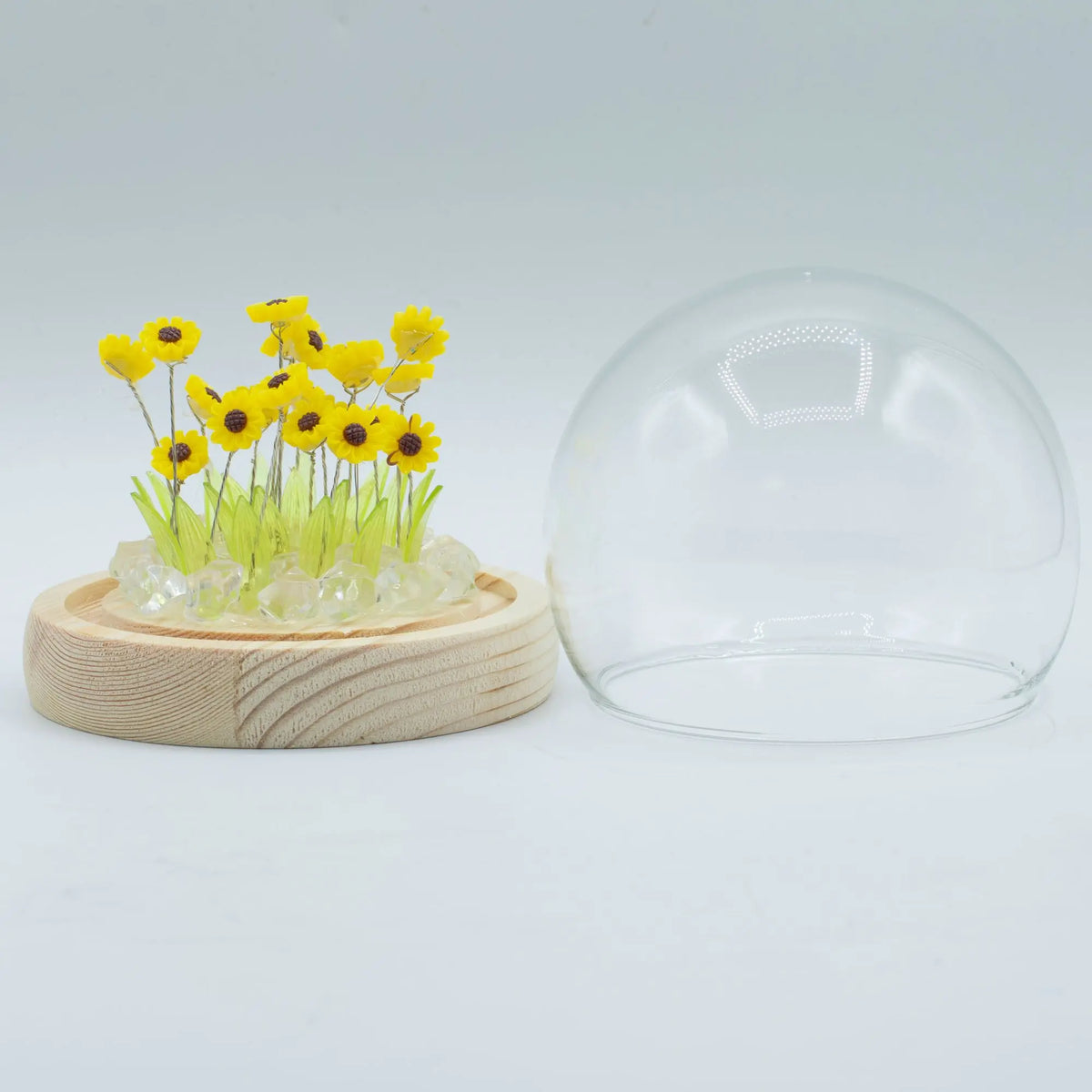Domo de cristal con base de madera y 20 pequeños girasoles amarillos e iluminación LED. Producto Floral Glow decorativo.