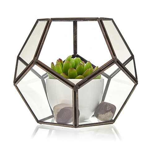 Terrario octagonal de vidrio con marco metálico oscuro, contiene una maceta blanca con una suculenta y piedras decorativas.