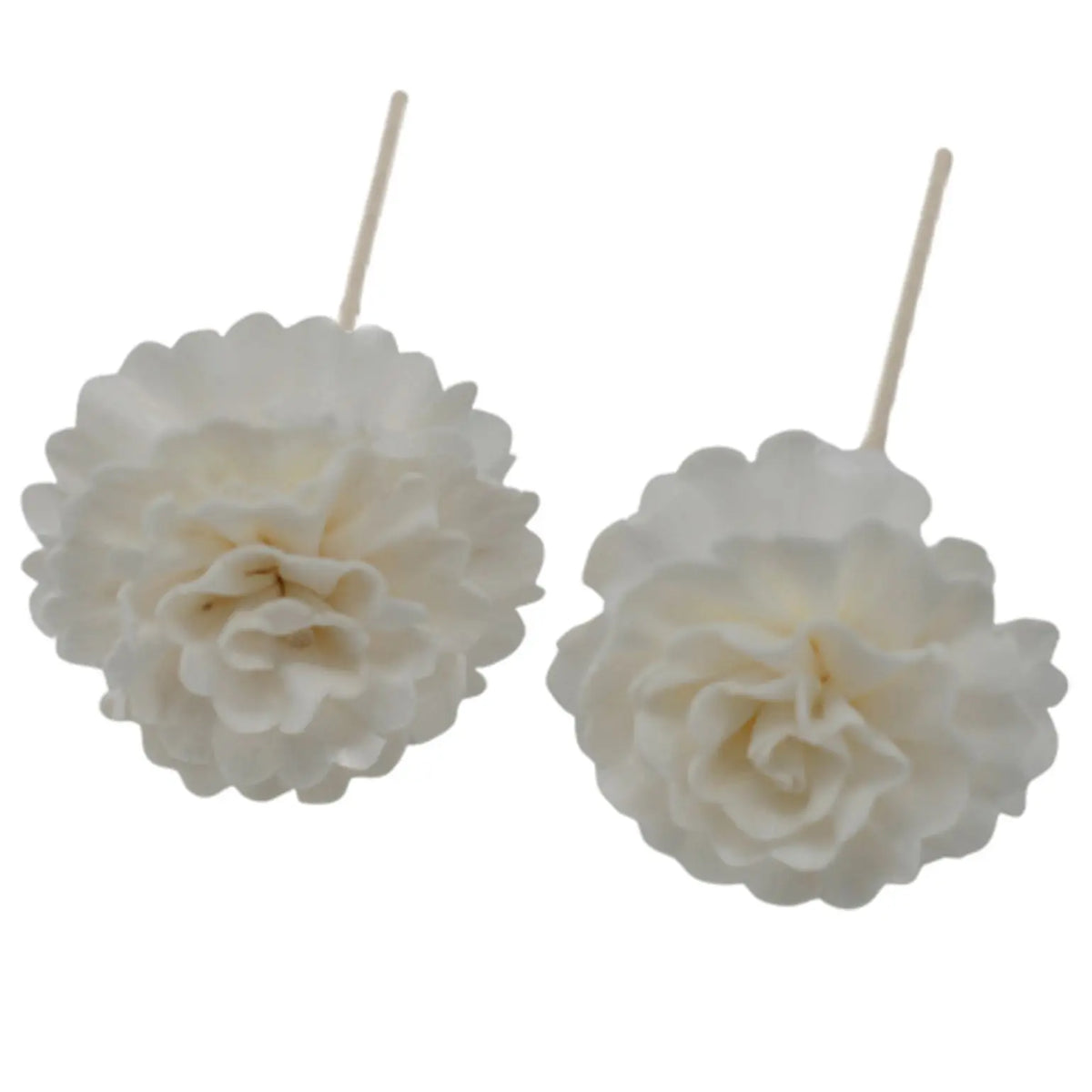Dos flores difusoras blancas tipo clavel con caña sobre fondo blanco. Estilo natural y decorativo.
