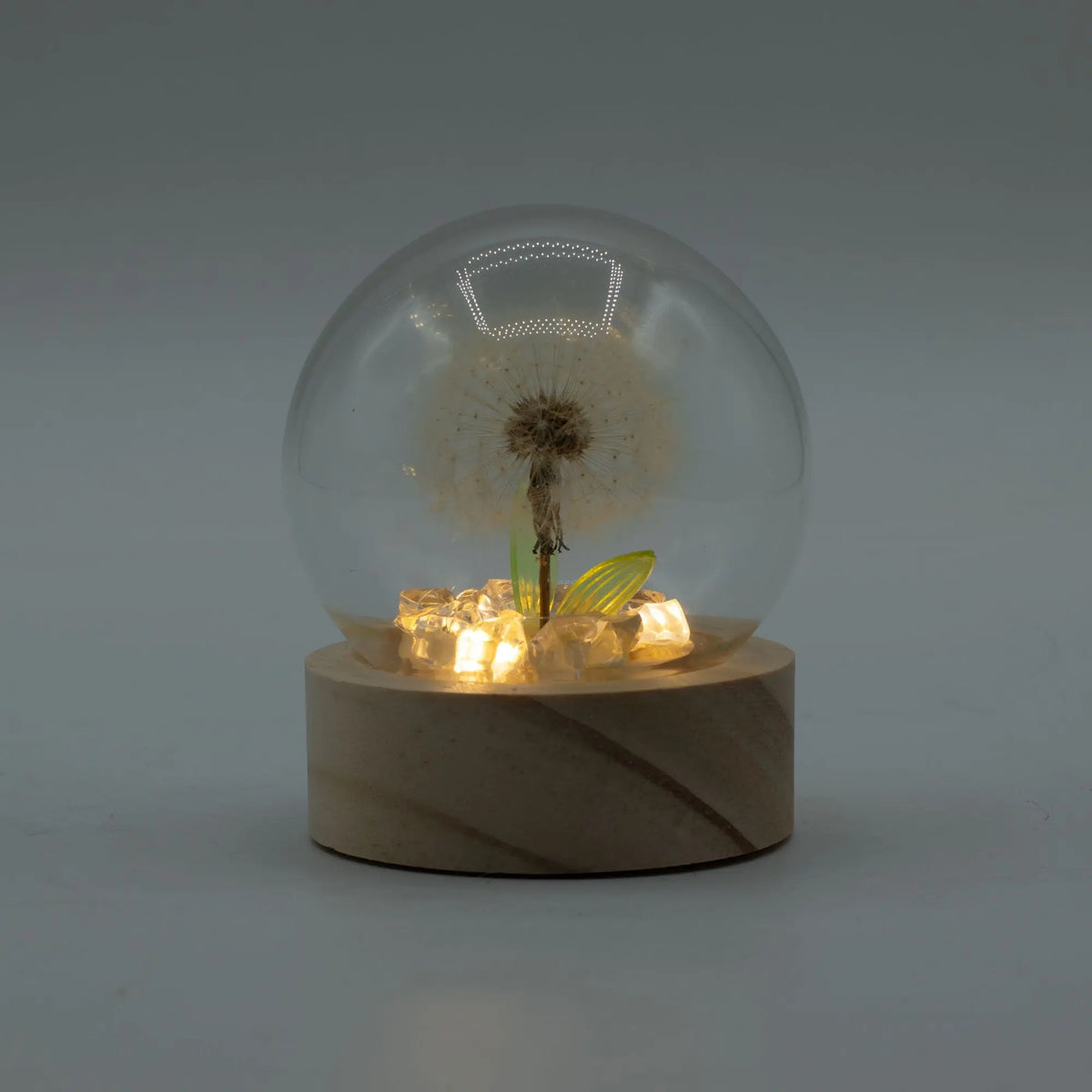 Domo de cristal con diente de león iluminado por luces LED sobre una base redonda de madera natural.