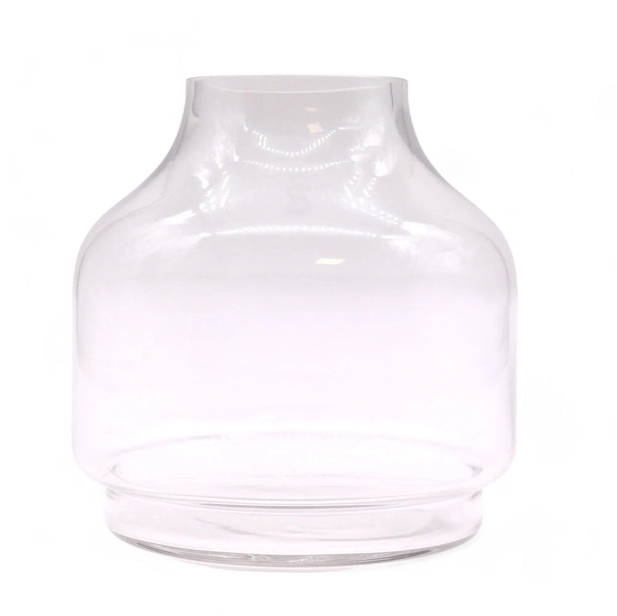 Terrario de vidrio transparente con forma abombada y base ancha, diseño minimalista sobre fondo blanco.