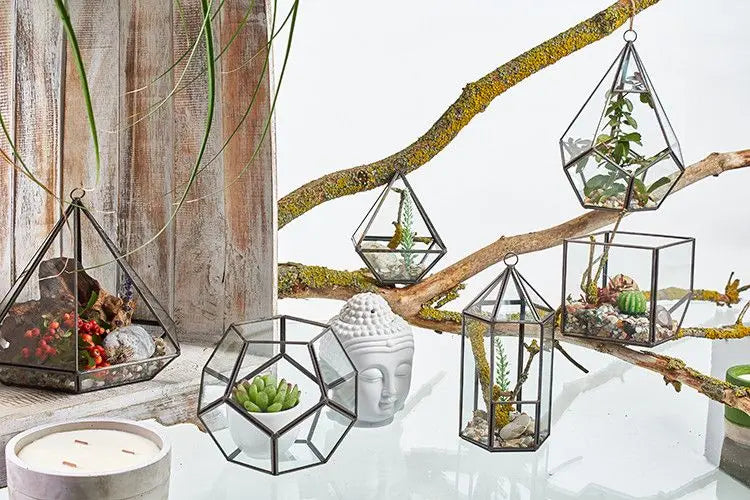 Varios terrarios de vidrio con marcos metálicos oscuros, conteniendo plantas y decoraciones sobre una mesa blanca.