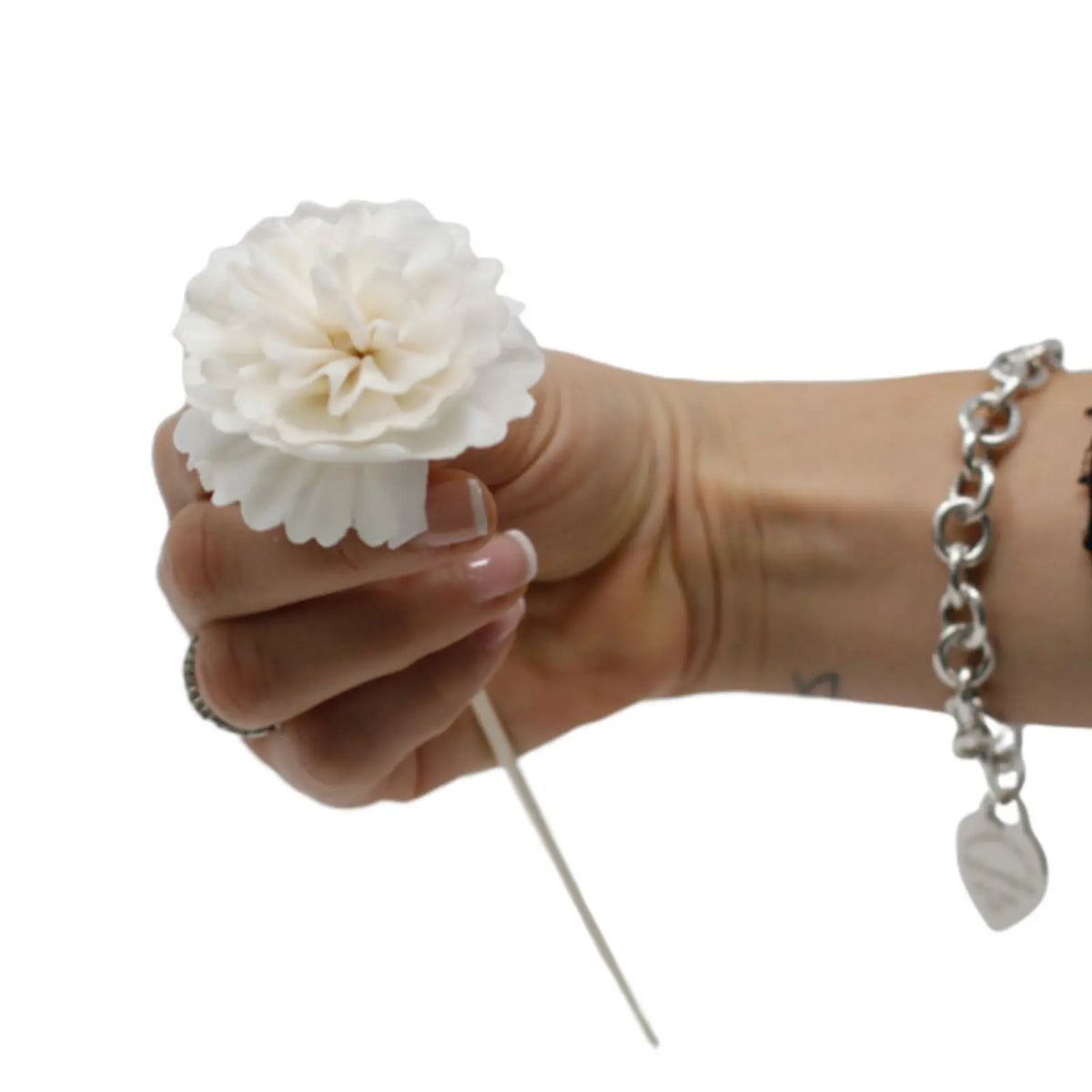 Mano sosteniendo una flor difusora blanca tipo clavel sobre una vara fina de madera, sobre fondo blanco.