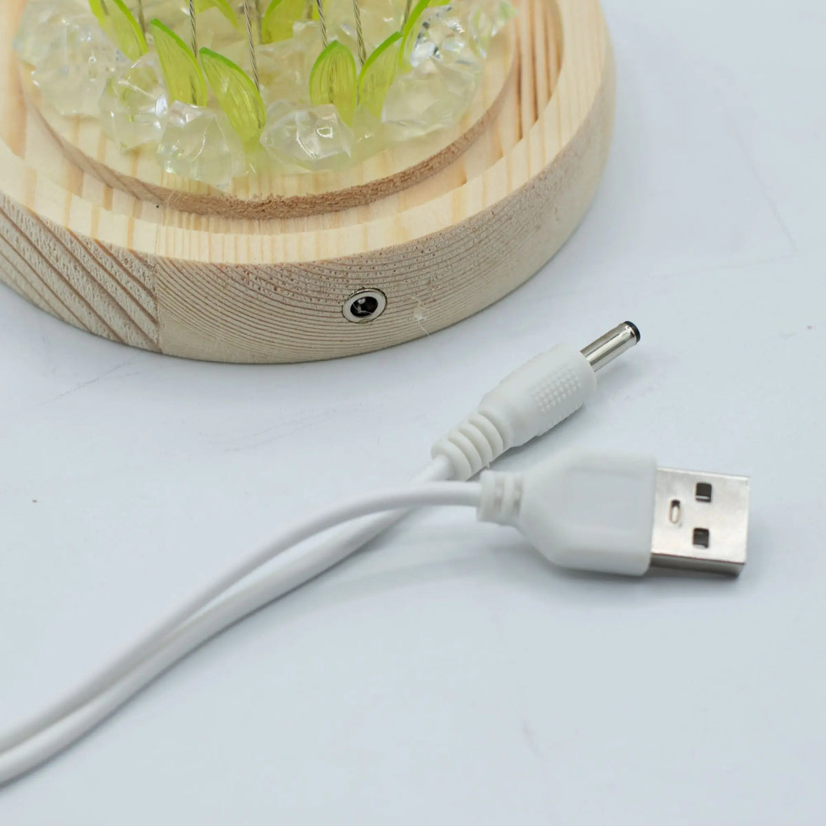Base de madera circular y cable USB para domo Floral Glow con cristales y detalles vegetales sobre fondo blanco.