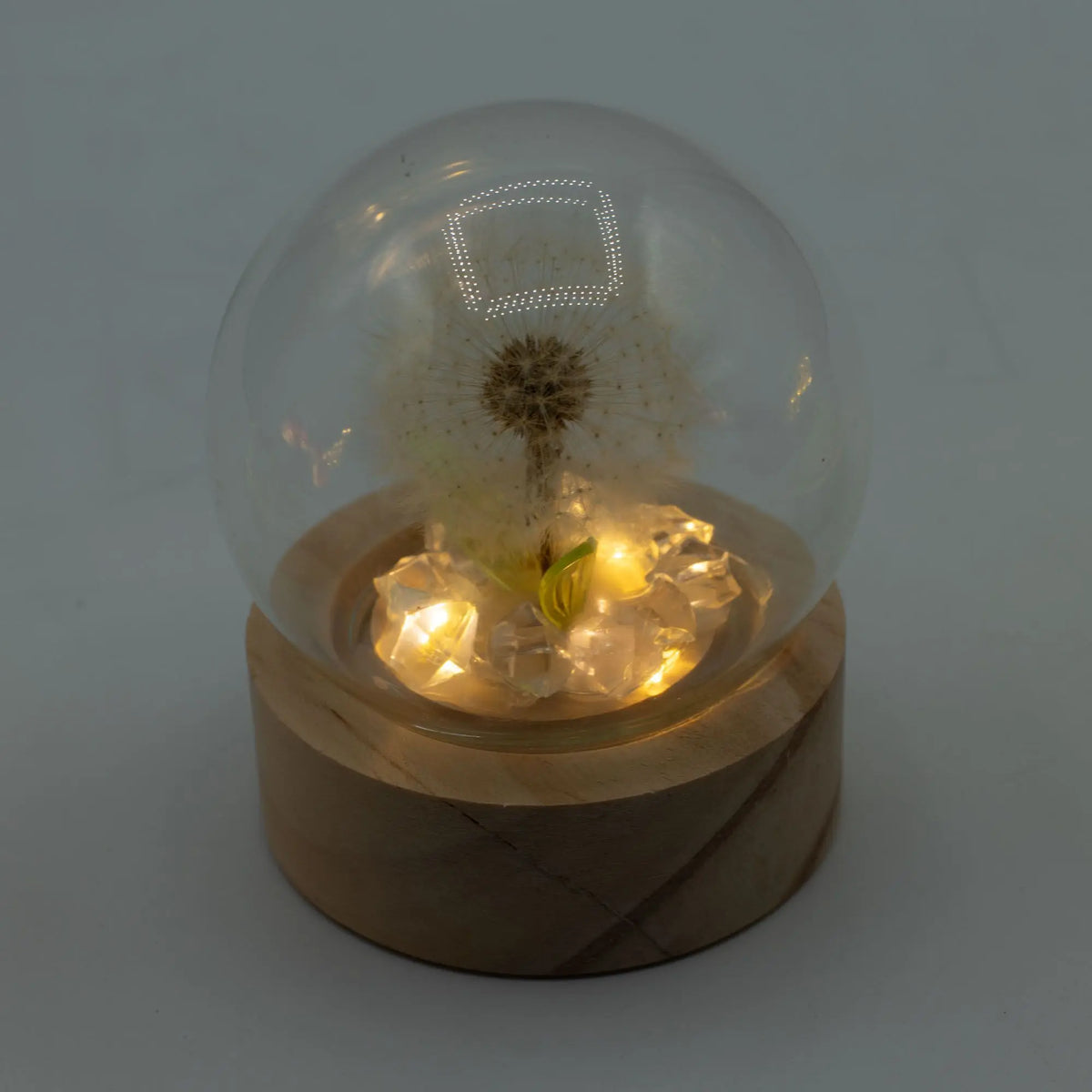 Domo de cristal con diente de león sobre base de madera iluminado por luces LED cálidas entre cristales.
