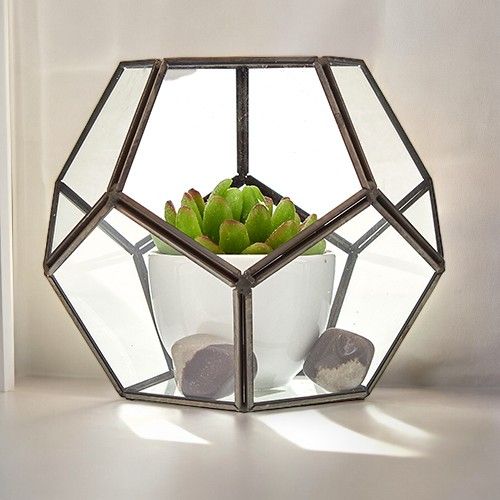 Terrario octagonal de vidrio y metal oscuro con una suculenta en maceta blanca y piedras decorativas en su interior.