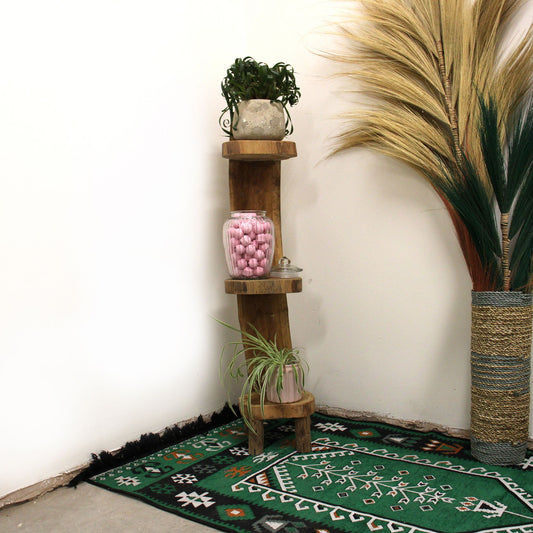 Estantería de madera natural en tonos marrones, estilo rústico, con plantas decorativas y alfombra verde.