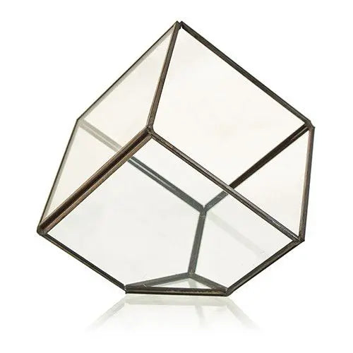 Terrario geométrico en forma de cubo apoyado sobre una esquina, con estructura de metal oscuro y paredes de cristal.
