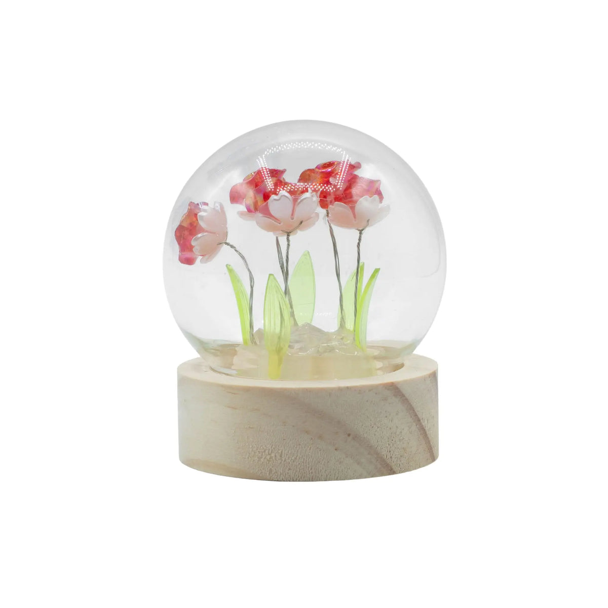Domo de cristal con 5 rosas rojas LED sobre base de madera clara, marca Ancient Wisdom. Decoración floral iluminada.