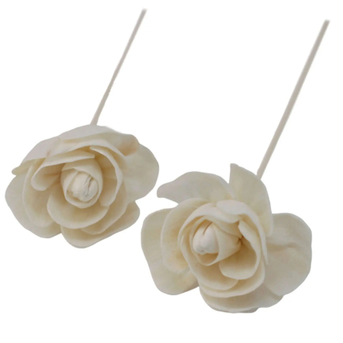 Dos flores decorativas color crema hechas de madera natural, cada una con un tallo de caña largo y delgado.
