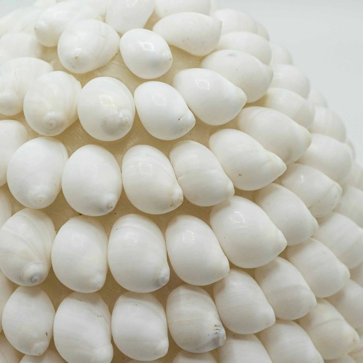 Lámpara boho ovalada cubierta de pequeñas conchas marinas blancas dispuestas en capas, estilo artesanal costero.
